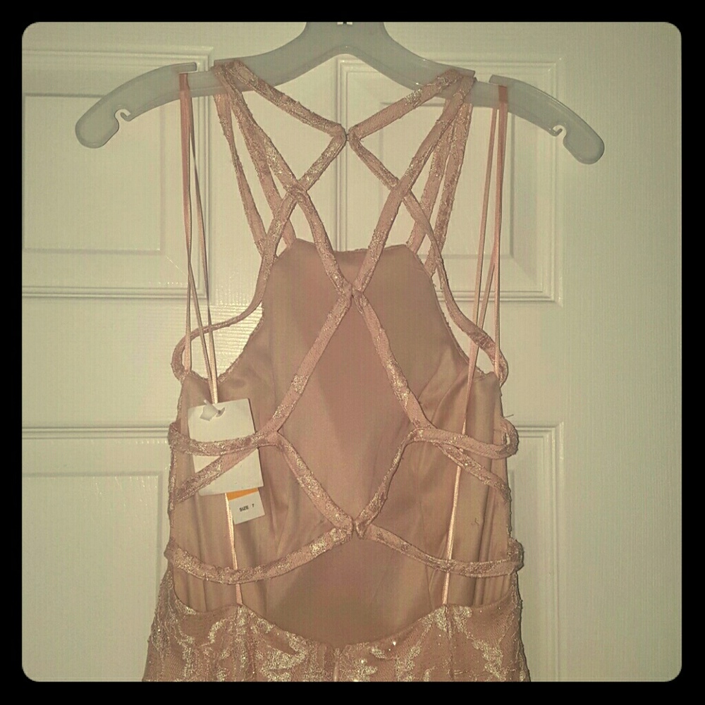 Meet your Posher, Pansy